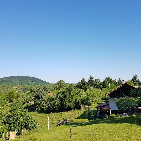 Guest House Pinus Generalski Stol Kültér fotó